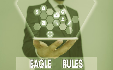 Conceptual hand writing showing Eagle Rules. Concept meaning a huge set of design rules which your...