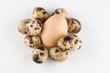 Obraz premium quail eggs isolated on white background