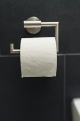 Toilettenpapier voll am Klorollenhalter