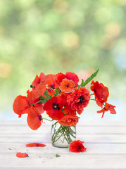 Bouquet of red poppies ( corn poppy, corn rose, field poppy, red weed, coquelicot ) in small vase on white wooden table on blur nature background with space for text