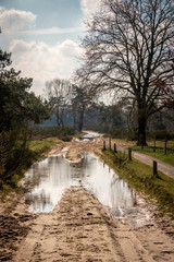 Flooded land and puddles on the muddy trails after a wet rainy winter season, photo taken in early spring in the Holtingerveld nature reserve near Havelte