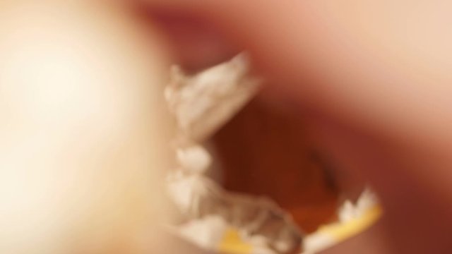 eating, biting burger from personal perspective, pov