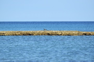 Beautiful Sea Side, View, Cyprus