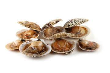 Opened scallops