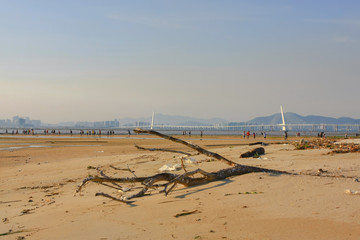 21 June 2008 the coast at Ha Pak Nai, Yuen Long