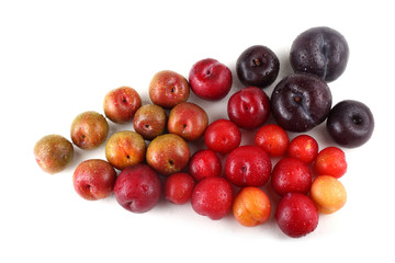 Fototapeta na wymiar Group of plums