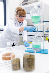 Fototapeta premium Woman working with green turquoise liquid in separator funnel