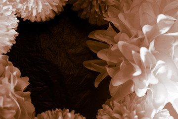 Beautiful abstract color black and yellow flowers on black background and gold flower frame and brown leaves texture, dark background, orange and gold love banner