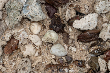 Fototapeta na wymiar Multicolor stones of different shapes and size. Small rocks on beach sand close up.