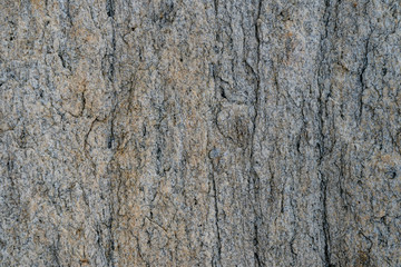 Rock Details of stone texture.