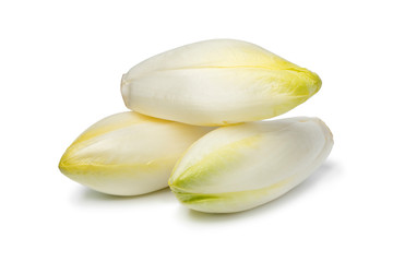 Heap of whole fresh raw Belgian endive