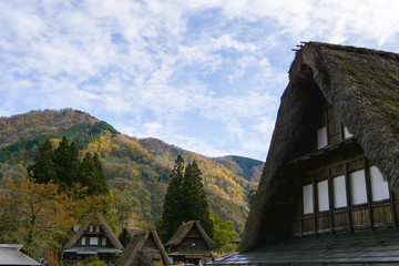 相倉合掌造り集落の風景