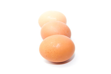 Frische Braune Eier