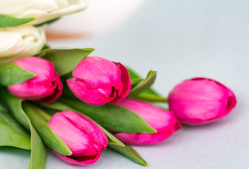 Fototapeta premium bouquet of pink and white tulips close, greeting card, copy space