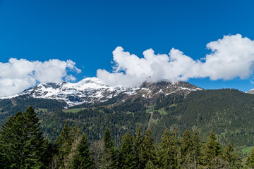 Panoramic view on winter snowy mountains at nice sunny evening.