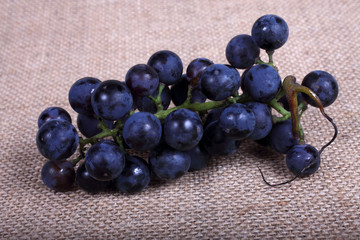 Black wine grape on bagging