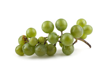White wine grape