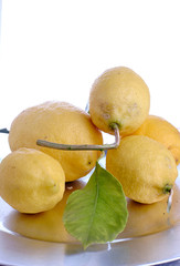 silver tray with five lemons and green leaf