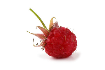 Raspberry