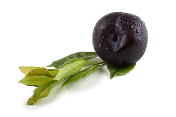 Black plum and leaves