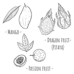 Tropical fruits. Vector cartoon illustrations. Isolated objects on a white background. Hand-drawn style.