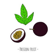 Passion fruit. Vector cartoon illustrations. Isolated objects on a white background. Hand-drawn style.