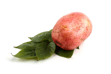 Pink potato and leaves