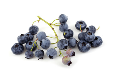 Blueberries