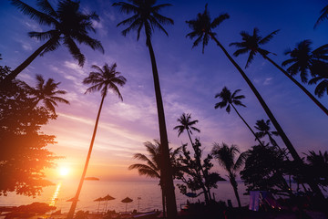 Beautiful sunset at the beach in the tropics. Sky and ocean