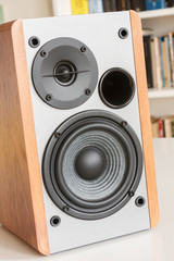 Single loudspeaker of an hi-fi system 