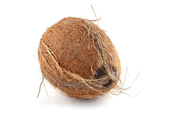Coconut