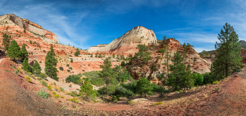 Panorama of mountains with green plants in Zion National Park, USA