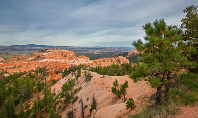Red rocks in National Park Bryce Canyon, USA