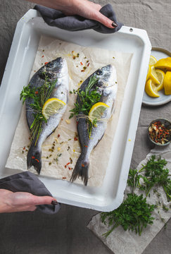 Women holding a bakind tray with dorada or bream