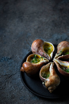 Giant snails escargots baked with butter, garlic and parsley