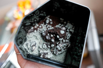 Hold a container from a coffee machine in your hand. Mold and dirt on the coffee