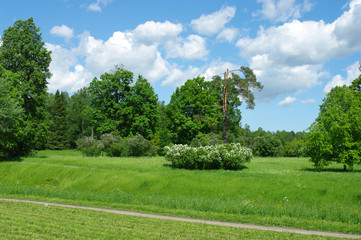 Parc du palais de Pavlovsk, Russie