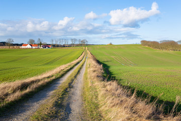 Fototapeta na wymiar Scenic farmland with field road in Djursland, Denmark