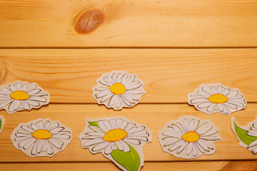 Painted daisies on a wooden background.