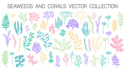 Seaweeds and coral reef underwater plans vector collection. Aquarium, ocean and marine algae water plants, corals isolated on white. Seaweeds polyps silhouettes set. Branches, twigs and flowers.