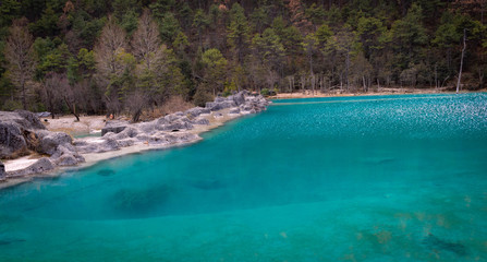 beautiful blue color lake inside the forest 