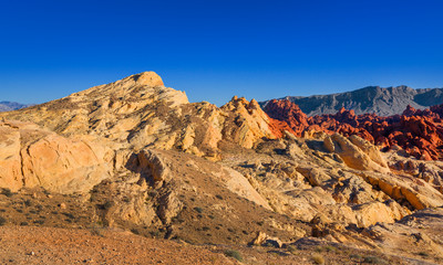 Fototapeta na wymiar Yellow rocks with blue sky in Valley of Fire, USA