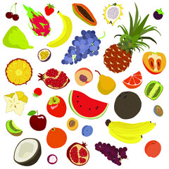 Vector set of exotic fruits. Template with colorful fruits for design menus, recipes, posters.