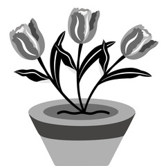 Bouquet of Tulips in pot on white background. Silhouette vector design. Illustration vector style.