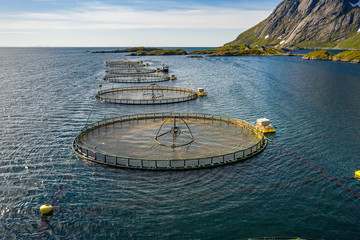 Farm salmon fishing in Norway