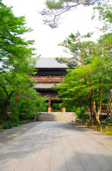 南禅寺の山門と青紅葉