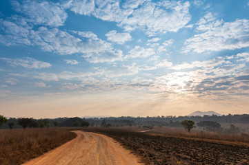Fototapeta premium Summer season of savanna in National Park of Thailand named Thung Salaeng Luang