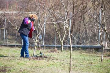 Middle age woman spring cleaning the garden