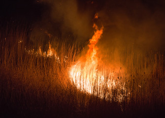 burning dry field in night time
