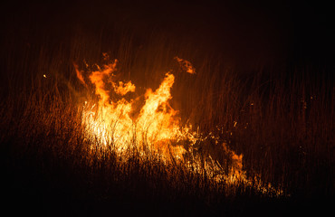 burning dry field in night time